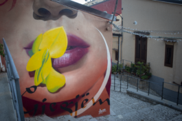 DONNA CHE TIENE TRA LE LABBRA UNA GINESTRA