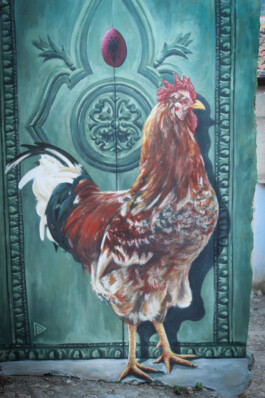 murales gallo tradizione arbereshe